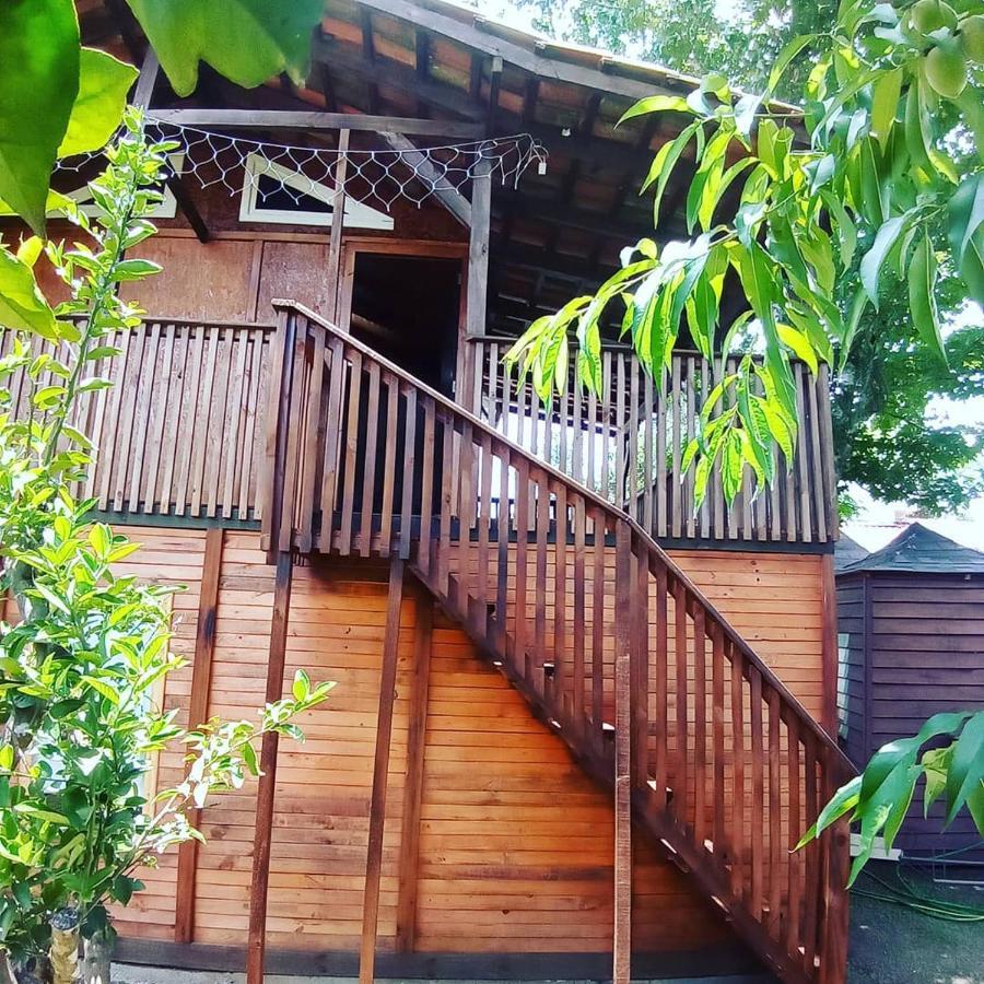 Mini House Park Hotel Campo Alegre  Exterior foto