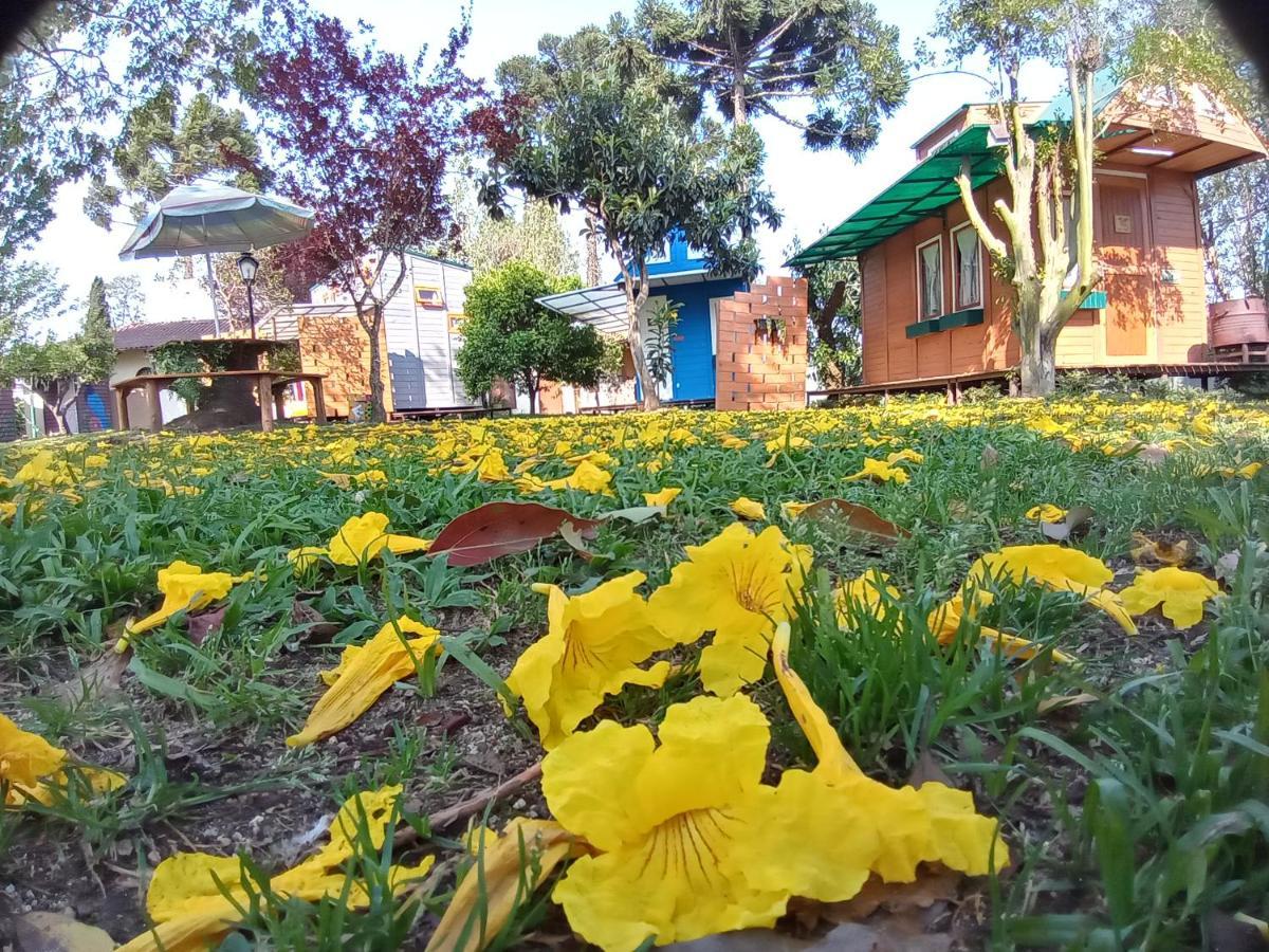 Mini House Park Hotel Campo Alegre  Exterior foto