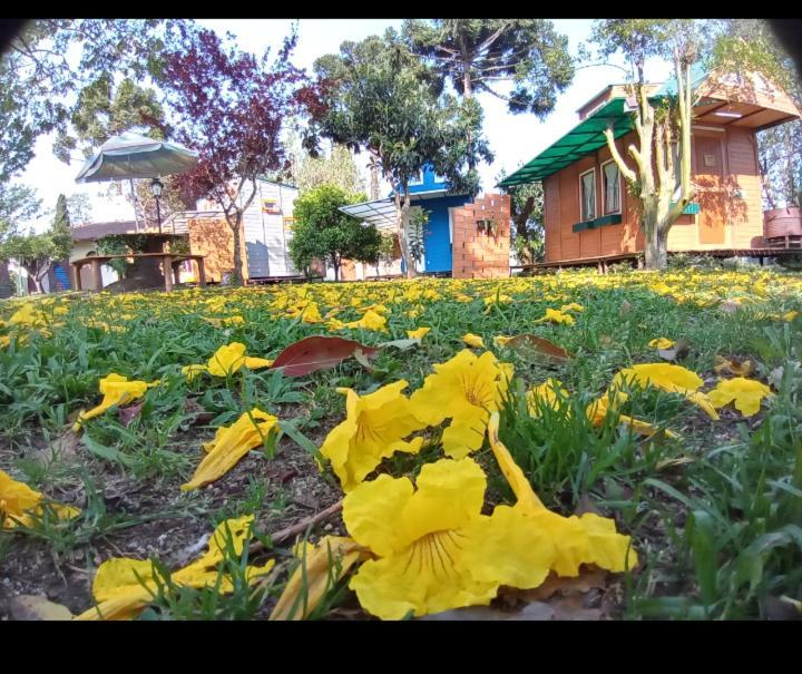 Mini House Park Hotel Campo Alegre  Exterior foto